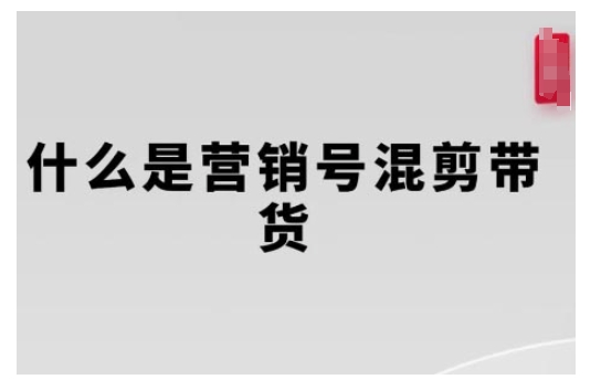 营销号混剪带货，从内容创作到流量变现的全流程，教你用营销号形式做混剪带货-E六资源