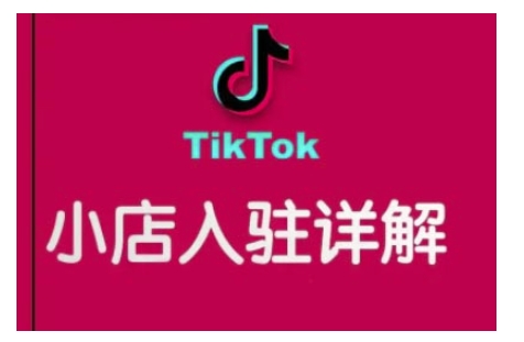 TikTok跨境小店运营全攻略，帮助你独立运营TK跨境小店的能力，实现销量增长-E六资源