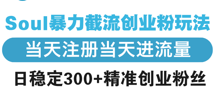 Soul暴力截流创业粉玩法，当天注册当天进流量，日稳定300+精准创业粉丝-E六资源