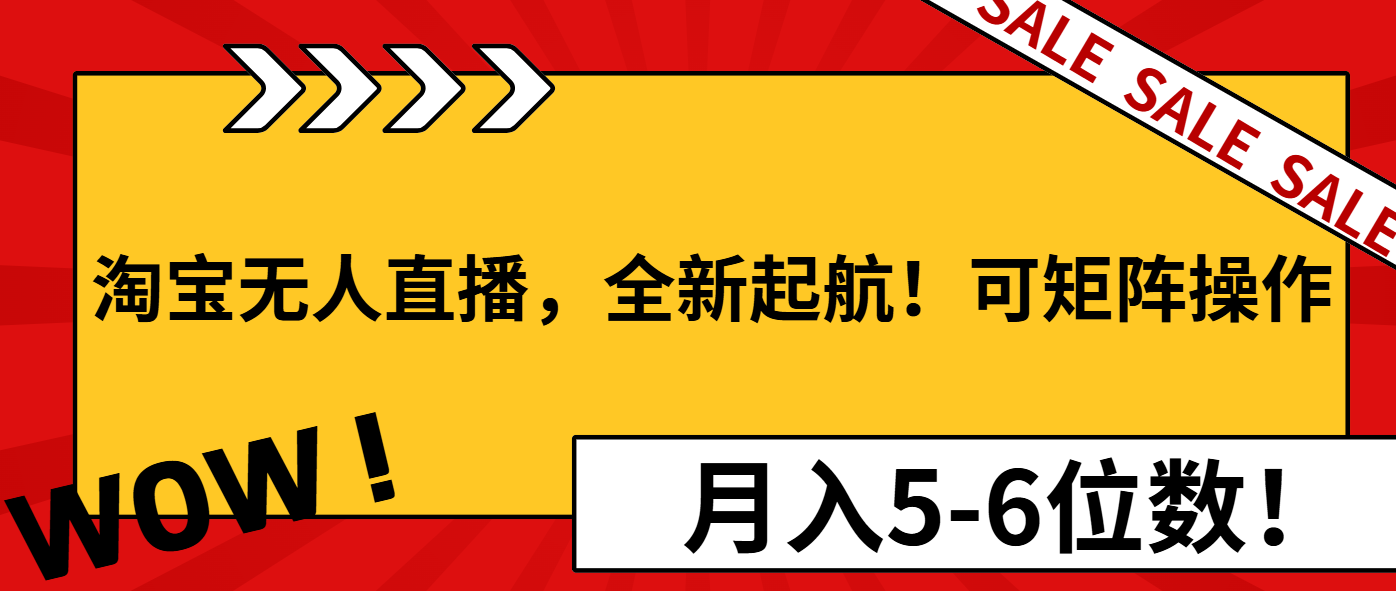 淘宝无人直播，全新起航！可矩阵操作，月入5-6位数！-E六资源