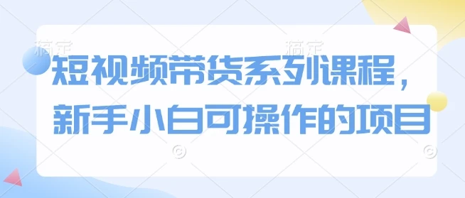 图片[1]-短视频带货系列课程，新手小白可操作的项目-E六资源
