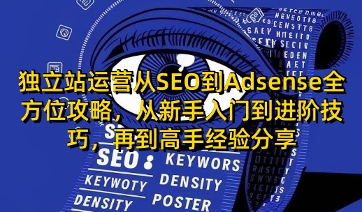 独立站运营从SEO到Adsense全方位攻略，从新手入门到进阶技巧，再到高手经验分享-E六资源