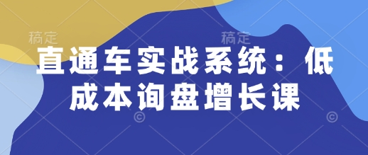 直通车实战系统：低成本询盘增长课，让个人通过技能实现升职加薪，让企业低成本获客，订单源源不断-E六资源