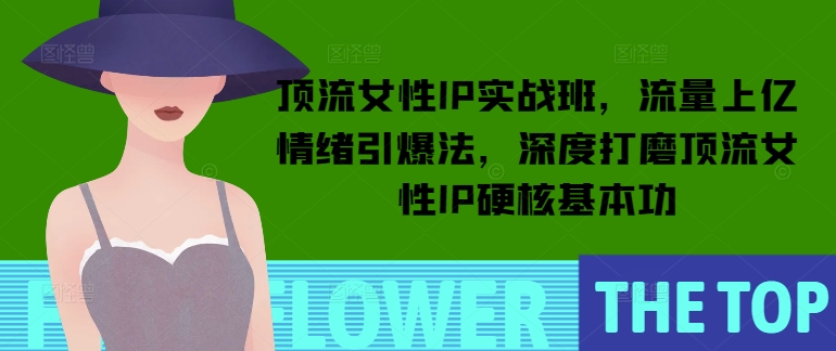 顶流女性IP实战班，流量上亿情绪引爆法，深度打磨顶流女性IP硬核基本功-E六资源