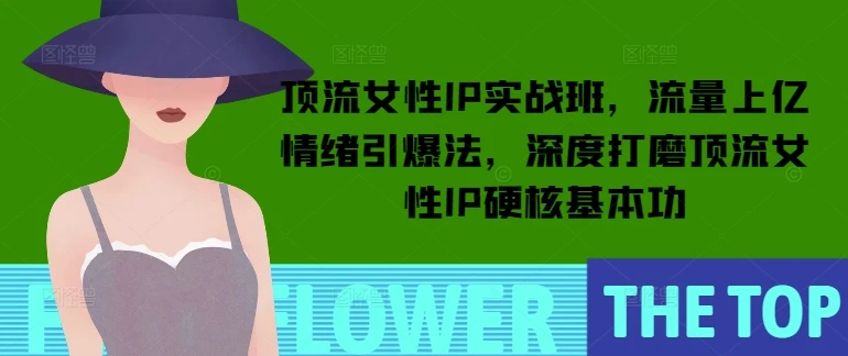 图片[1]-顶流女性IP实战班，流量上亿情绪引爆法，深度打磨顶流女性IP硬核基本功-E六资源
