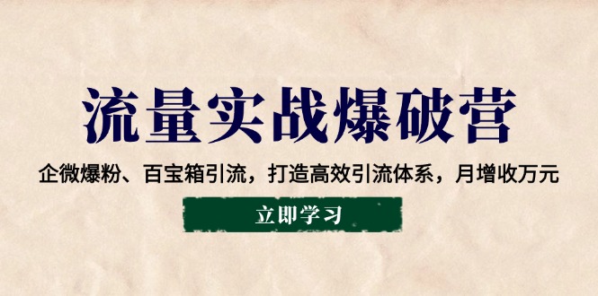 流量实战爆破营：企微爆粉、百宝箱引流，打造高效引流体系，月增收万元-E六资源