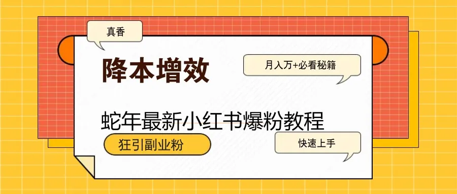 图片[1]-蛇年最新小红书爆粉教程，狂引副业粉，月入万+必看-E六资源
