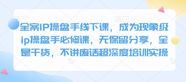 全案IP操盘手线下课，成为现象级ip操盘手必修课，无保留分享，全是干货，不讲废话超深度培训实操-E六资源