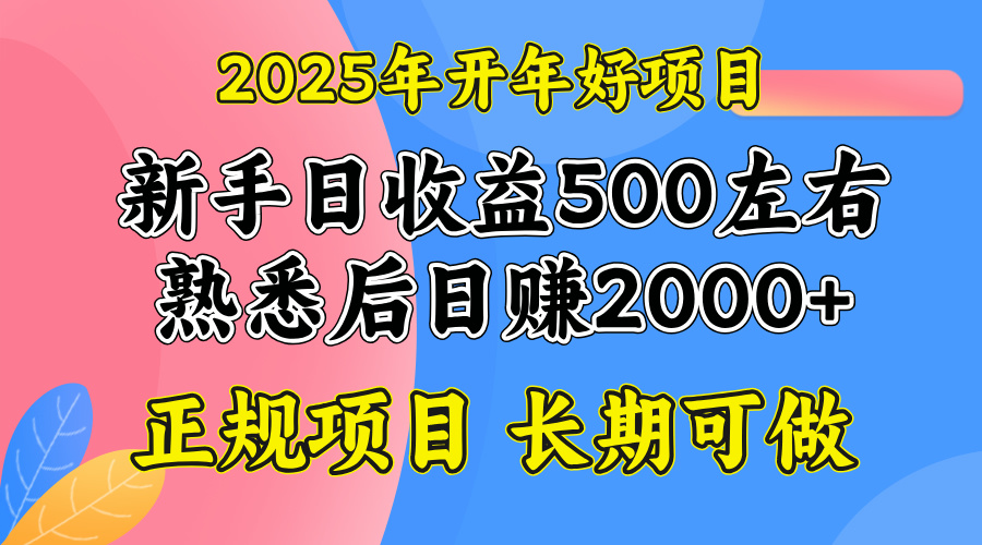 2025开年好项目，单号日收益2000左右-E六资源