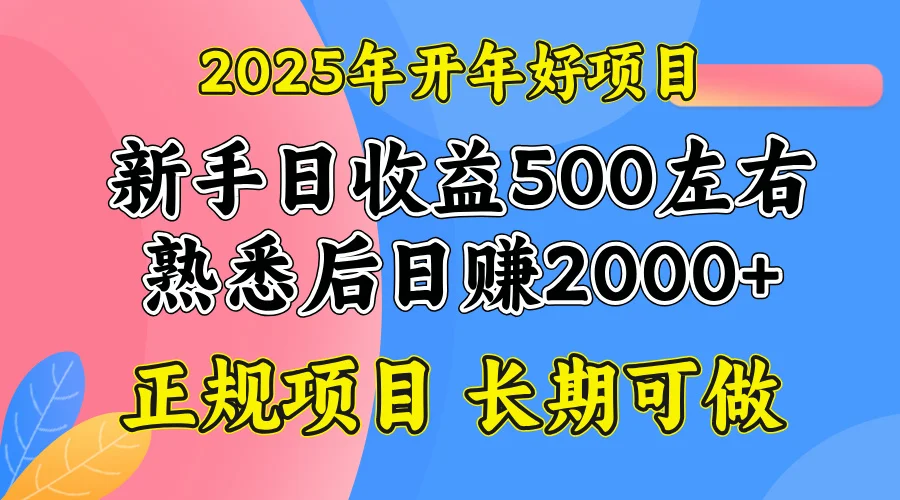 图片[1]-2025开年好项目，单号日收益2000左右-E六资源