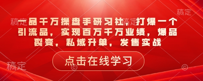 一品千万操盘手研习社，打爆一个引流品，实现百万千万业绩，爆品裂变，私域升单，发售实战-E六资源