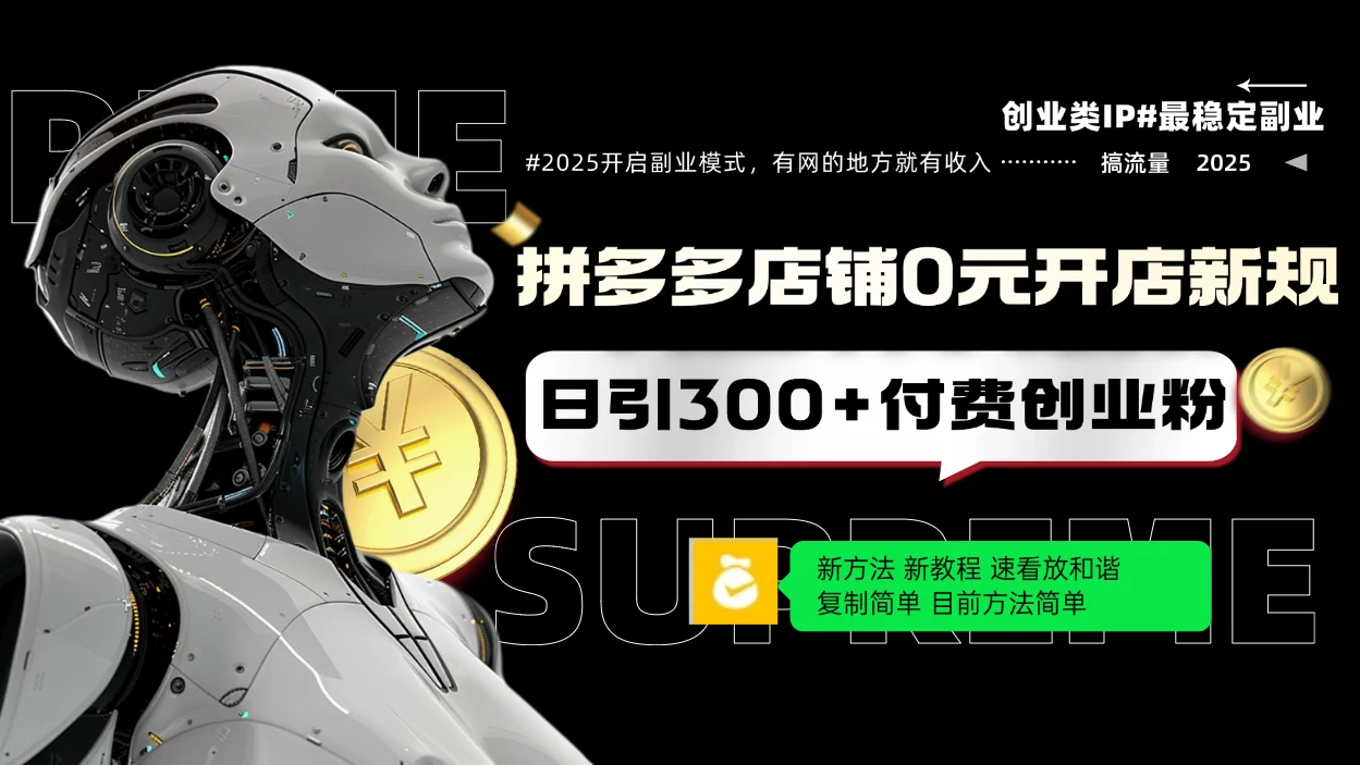 图片[1]-拼多多店铺0元开店新规，日引300+付费创业粉，目前方法简单复制粘贴可矩阵-E六资源