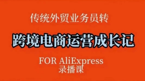 跨境电商速卖通运营课，​运营方法论+后台实操，逻辑清晰-E六资源