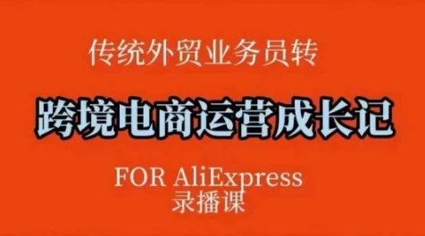 图片[1]-跨境电商速卖通运营课，​运营方法论+后台实操，逻辑清晰-E六资源