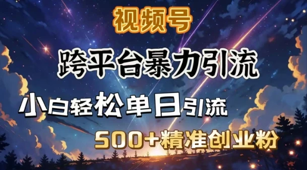图片[1]-跨平台暴力引流，私域完美闭环，日引500+精准创业粉-E六资源
