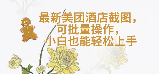【轻云】最新美团酒店截图，可批量操作，小白也能轻松上手-E六资源
