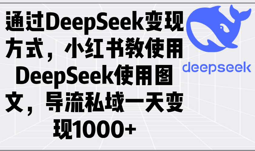 通过DeepSeek变现方式，小红书教使用DeepSeek图文，导流私域一天变现1000+-E六资源