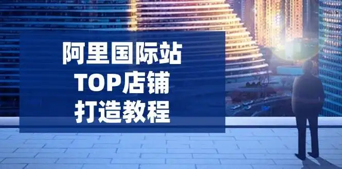 图片[1]-阿里国际站TOP店铺打造教程：涵盖平台到高阶，解决运营难题，提升询盘-E六资源
