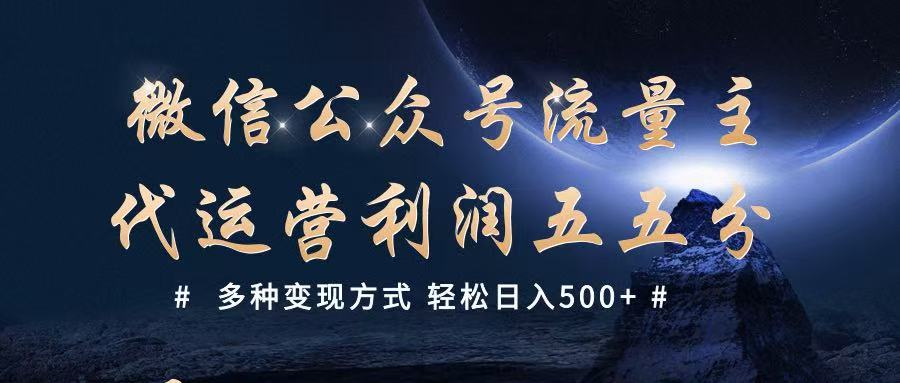 公众号流量主代运营  多种变现方式 轻松日入500+-E六资源