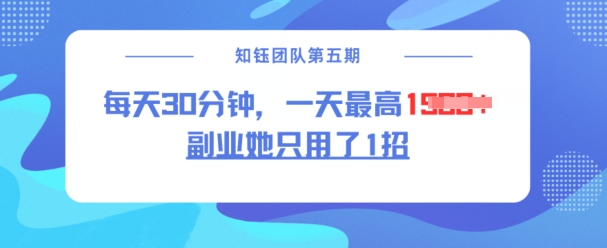 副业她只用了1招，每天30分钟，无脑二创，一天最高1.5k-E六资源
