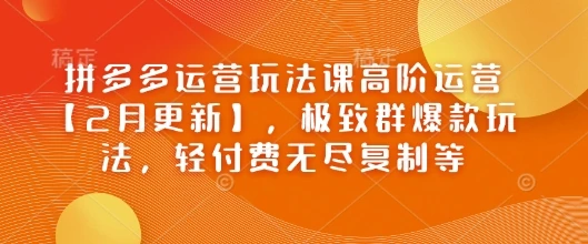 图片[1]-拼多多运营玩法课高阶运营【2月更新】，极致群爆款玩法，轻付费无尽复制等-E六资源
