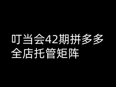 叮当会拼多多打爆班原创高阶技术第42期，拼多多全店托管矩阵-E六资源