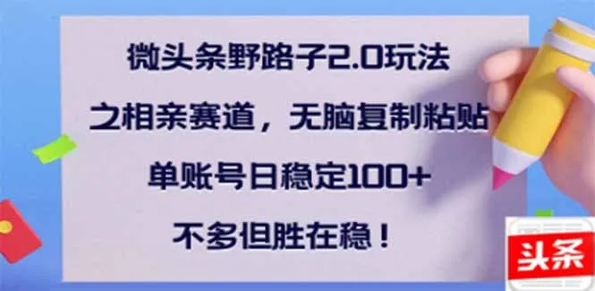 图片[1]-微头条野路子2.0玩法之相亲赛道，无脑搬砖复制粘贴，单账号日稳定300+…-E六资源