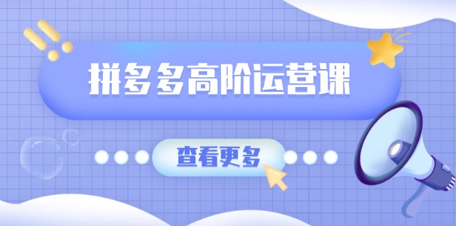 拼多多高阶运营课：极致群爆款玩法，轻付费无尽复制，打造单品爆款之路-E六资源