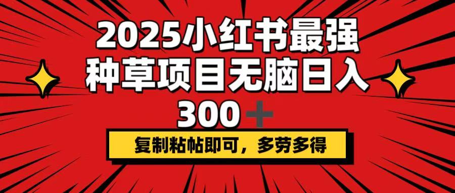 2025小红书最强种草项目，无脑日入300+，复制粘帖即可，多劳多得-E六资源