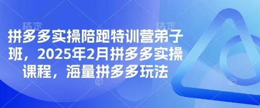 图片[1]-拼多多实操陪跑特训营弟子班，2025年2月拼多多实操课程，海量拼多多玩法-E六资源
