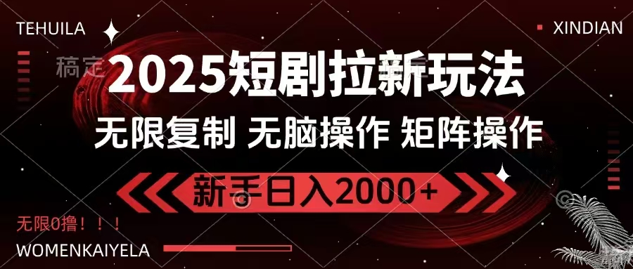 2025短剧拉新玩法，无需注册登录，无限0撸，无脑批量操作日入2000+-E六资源