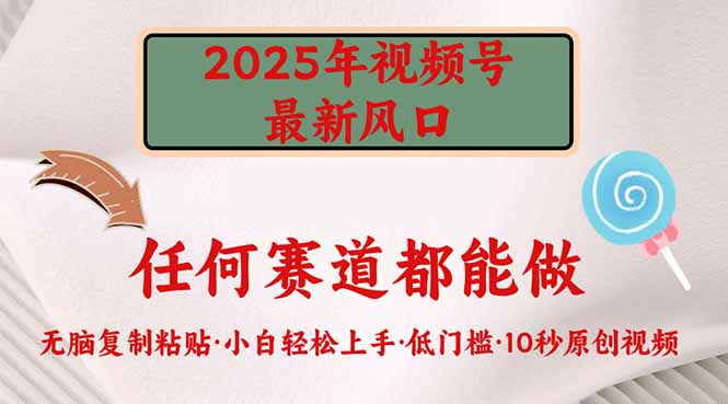 2025年视频号新风口，低门槛只需要无脑执行-E六资源