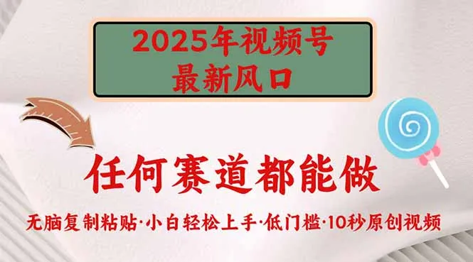 图片[1]-2025年视频号新风口，低门槛只需要无脑执行-E六资源