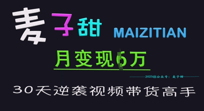 麦子甜30天逆袭视频带货高手，单月变现6W加特训营-E六资源