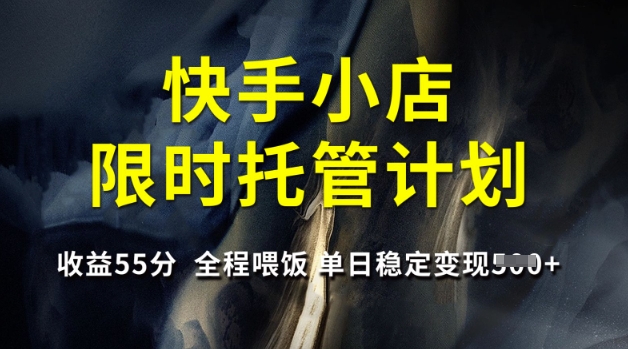 快手小店限时托管计划，收益55分，全程喂饭，单日稳定变现5张-E六资源
