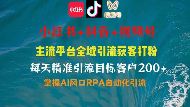 图片[1]-小红书、抖音、视频号全域多平台引流获客，日引目标客户200+，RPA自动…-E六资源