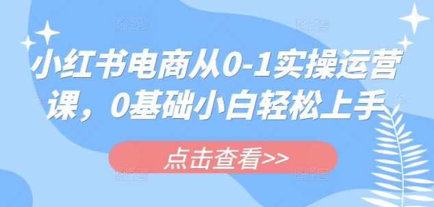 小红书电商从0-1实操运营课，0基础小白轻松上手-E六资源