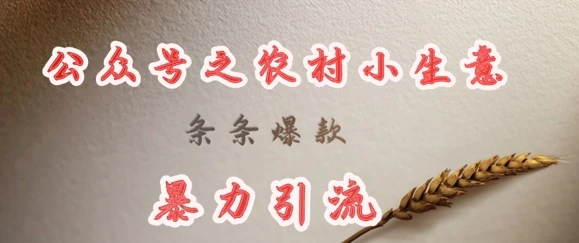 图片[1]-deepseek写农村小项目，条条爆款，暴力引流-E六资源