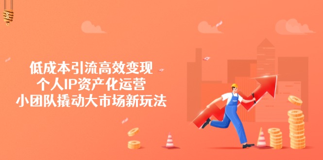 低成本引流高效变现，个人IP资产化运营，小团队撬动大市场新玩法-E六资源
