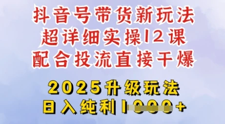 图片[1]-2025全新升级抖音带货玩法，一天纯利四位数，从剪辑到选品再到发布投流，超详细玩法揭秘-E六资源