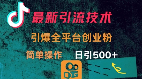 图片[1]-最新引流方法，引爆全平台的一个创业粉，简单操作日引300+-E六资源