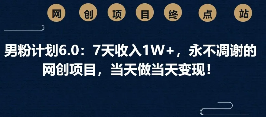图片[1]-男粉计划6.0：7天收入1W+，永不凋谢的网创项目，当天做当天变现！-E六资源