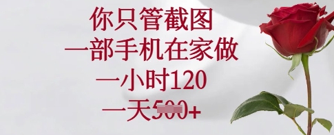 你只管截图，一部手机在家做，一小时120.一天5张-E六资源