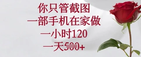 图片[1]-你只管截图，一部手机在家做，一小时120.一天5张-E六资源