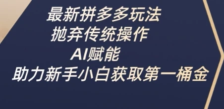 图片[1]-最新拼多多玩法，抛弃传统操作，AI赋能，助力新手小白获取第一桶金-E六资源