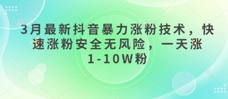 3月最新抖音暴力涨粉技术，快速涨粉安全无风险，一天涨1-10W粉-E六资源