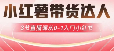 小红薯达人带货启航计划，3节直播课从0-1入门小红书-E六资源