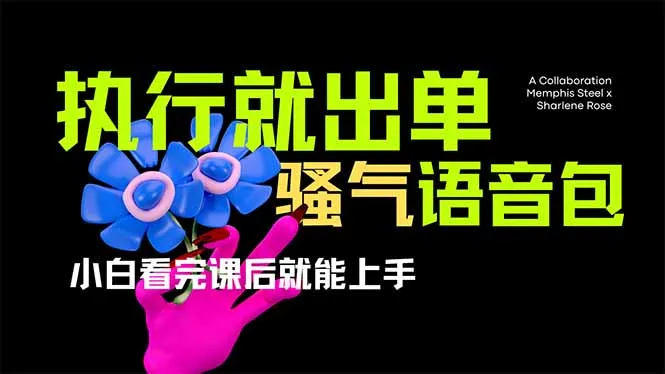 图片[1]-爆火全网的开车导航骚气语音包,只要执行就出单，小白看完课程就能实操…-E六资源