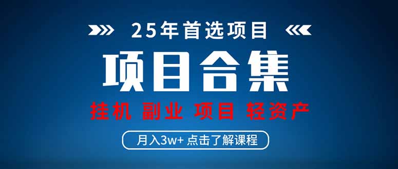 2025 实操项目合集 挂机类型 直播类型 轻资产创业类型 课程分享各项目…-E六资源