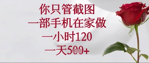 你只管截图，一部手机在家操作，一小时120.一天5张-E六资源
